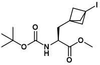Methyl (αS )-α-[[(1,1-dimethylethoxy)carbonyl]amino]-3-iodobicyclo[1.1.1]pentane-1-propanoate